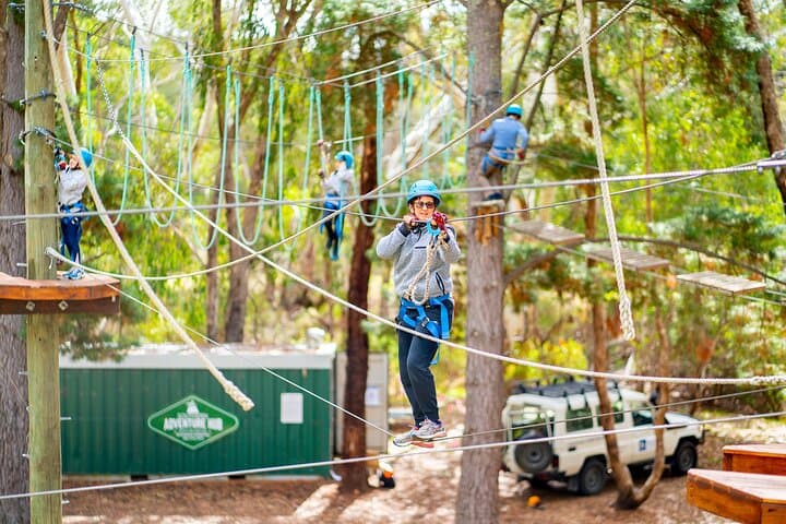 Rock Climb and High Ropes in McLaren Vale: 9-Metre Tower & Treetop Course