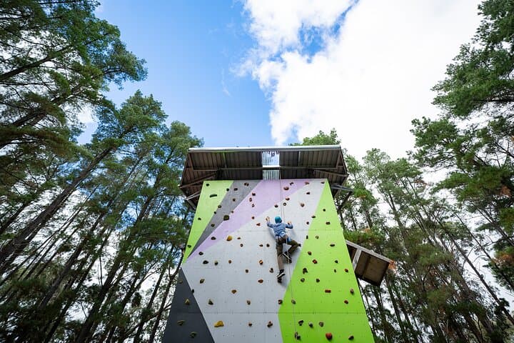 Rock Climb and High Ropes in McLaren Vale: 9-Metre Tower & Treetop Course photo 2