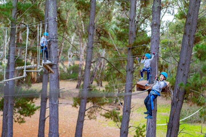 Rock Climb and High Ropes in McLaren Vale: 9-Metre Tower & Treetop Course photo 3