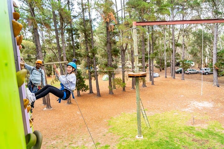 Rock Climb and High Ropes in McLaren Vale: 9-Metre Tower & Treetop Course photo 4