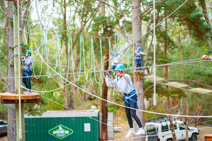 Rock Climb and High Ropes in McLaren Vale: 9-Metre Tower & Treetop Course photo 5