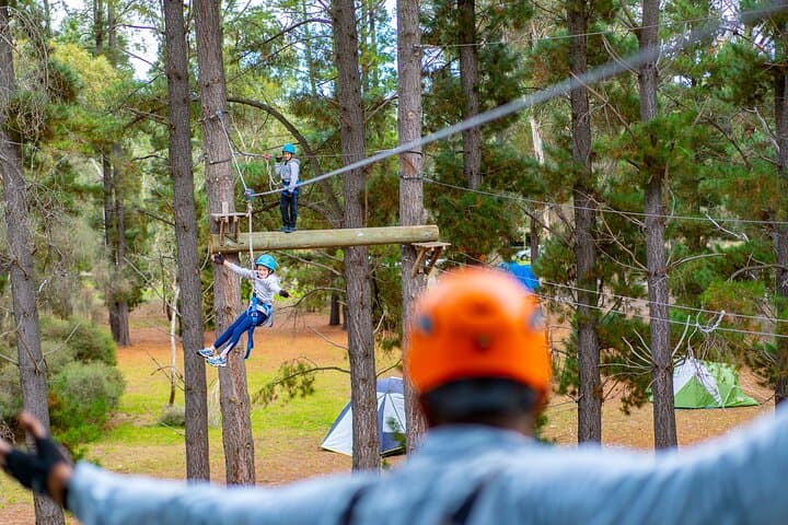 Rock Climb and High Ropes in McLaren Vale: 9-Metre Tower & Treetop Course photo 6