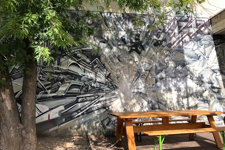 Geneva TaxiBike Urban Art Tour: Street Art Along the Rhône and Arve photo 4
