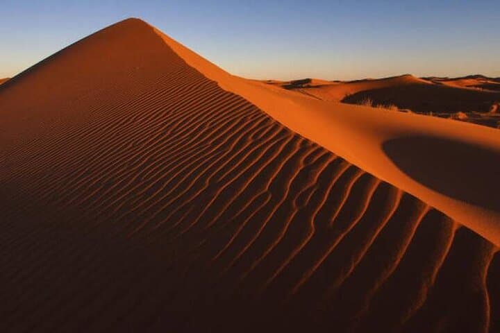 Morning Dune Drive & Camel Ride in Dubai: 4-Hour Arabian Desert Safari photo 4
