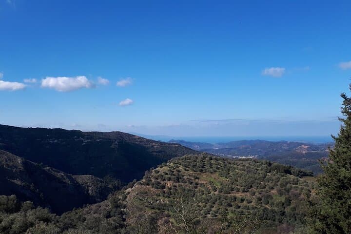 Chania Private Tour — Therisso Gorge, Historic Monasteries & Mountain Taverns photo 3