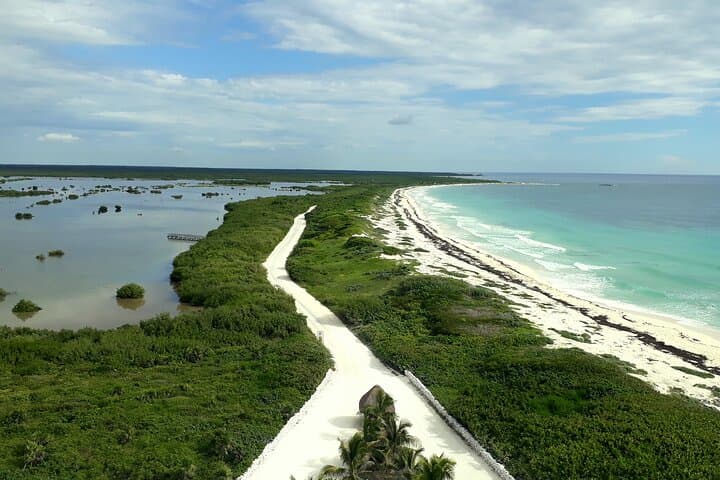Private Cozumel Island Tour — Punta Sur National Park & East‑Coast Beach Break