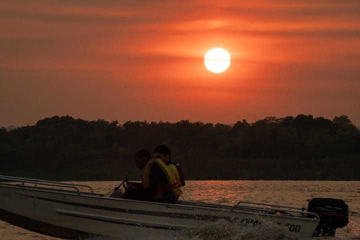 Paraguay River Wildlife Boat Tour from Asunción: Birds, Caimans & Wetlands