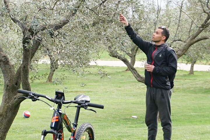 Vodnjan E‑Bike Tour: Olive Groves, Hidden Beaches & Istrian Wine Tasting photo 4