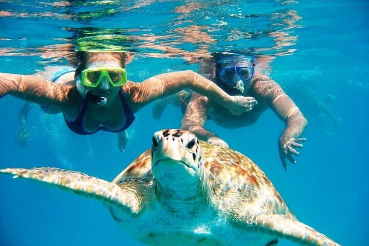 Nassau Private Island Snorkel: Turtles, Beach & BBQ from Paradise Island photo 3