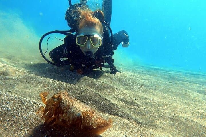 Beginner Scuba Diving in Abades, Tenerife — Guided Introductory Dive photo 6
