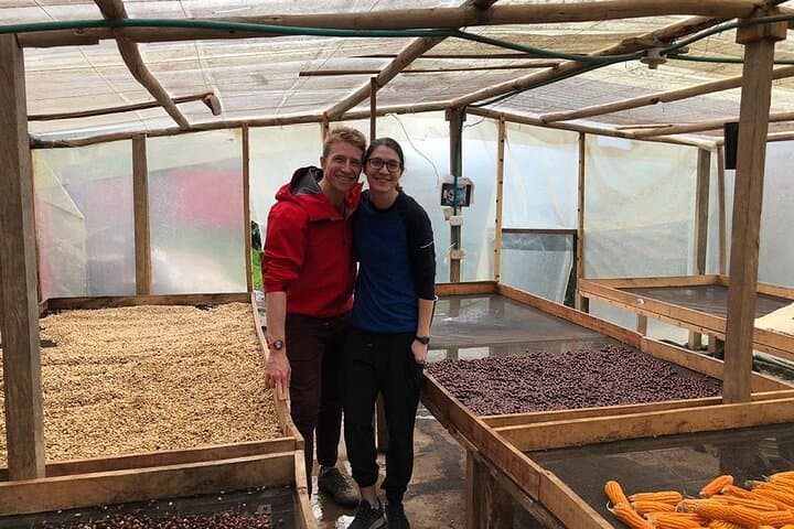 Be a Farmer for a Day: Coffee Farm & Salento Walking Tour photo 4