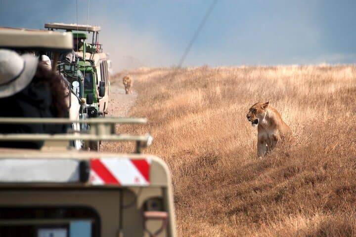 Budget 5-Day Tanzania Safari: Tarangire, Serengeti & Ngorongoro