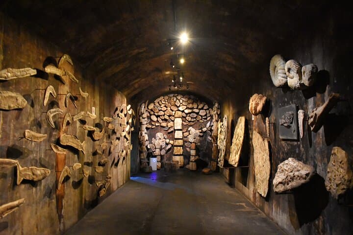 Aliança Underground Museum and Buçaco Forest Day Trip from Coimbra photo 5