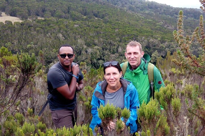 Kilimanjaro One-Day Hike to Mandara Hut: Marangu Route Day Trek