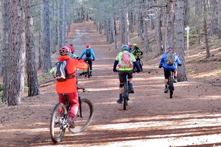 Complete E‑MTB Tour of Mount Etna: Lava Flows, Craters & Pine Forests photo 4