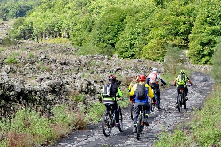 Complete E‑MTB Tour of Mount Etna: Lava Flows, Craters & Pine Forests photo 5