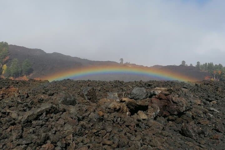 Complete E‑MTB Tour of Mount Etna: Lava Flows, Craters & Pine Forests photo 6