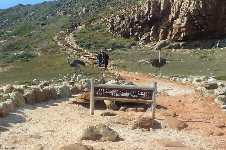 Cape Peninsula Day Tour: Penguins, Chapman's Peak & Cape Winelands photo 5