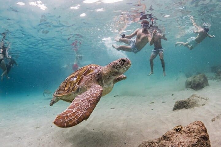 Ultimate Full-Day Private Tour of Curaçao — East & West Island Highlights photo 2