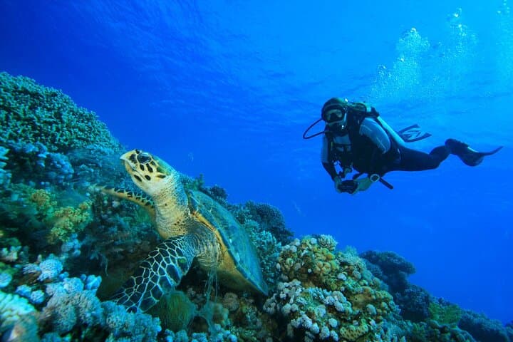Phuket Open Water Course: Pool Training to Racha Dives in Three Days photo 3