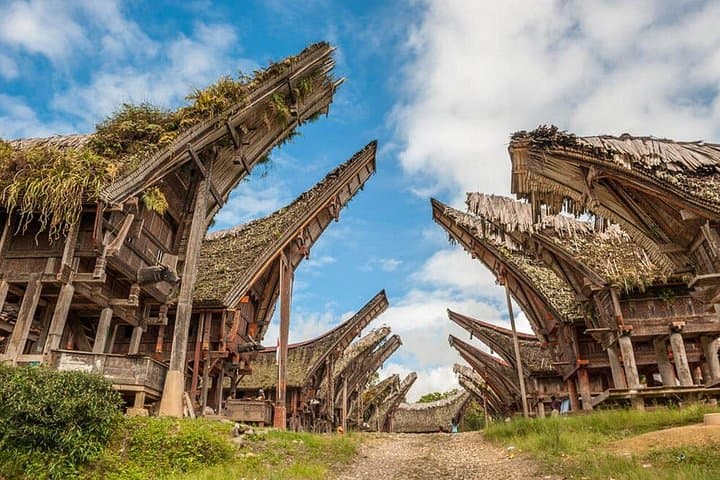 3-Day Toraja Cultural Immersion from Makassar — Cliff Burials, Tongkonan & Highland Views
