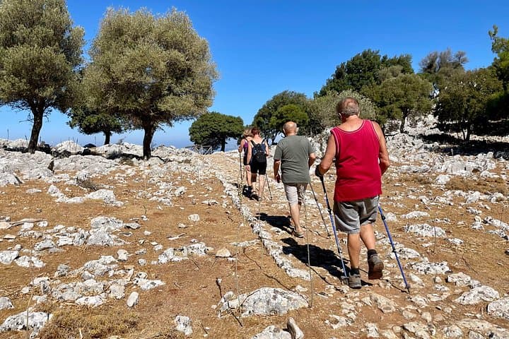 Hike Salakos to Profitis Ilias — 7.5 km Forest Trail to a Ridge Viewpoint photo 2