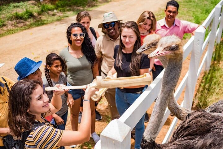 Xploration Animal Encounters Half-Day Tour from Punta Cana photo 4