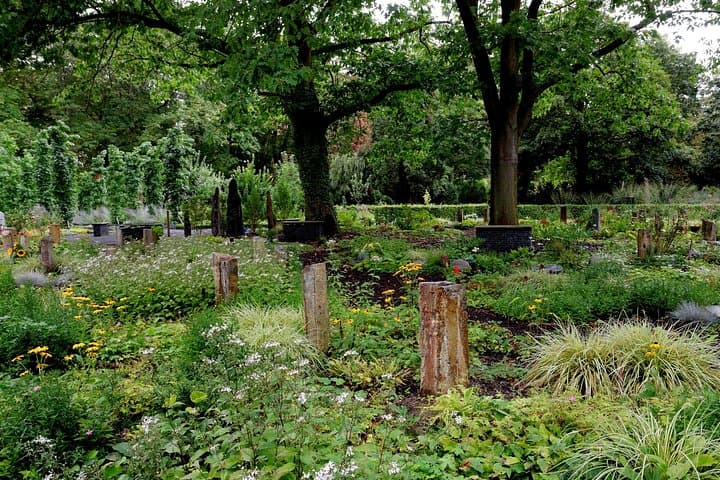 Quiet Histories: Melaten Cemetery and Cologne Old Town Private Walking Tour