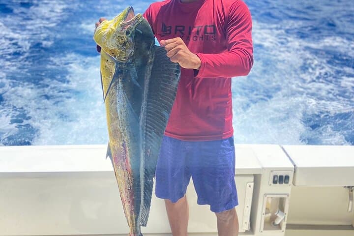 Private Yacht Fishing and Palmilla Natural Pool Swim — Saona Island Day Trip (La Romana) photo 2