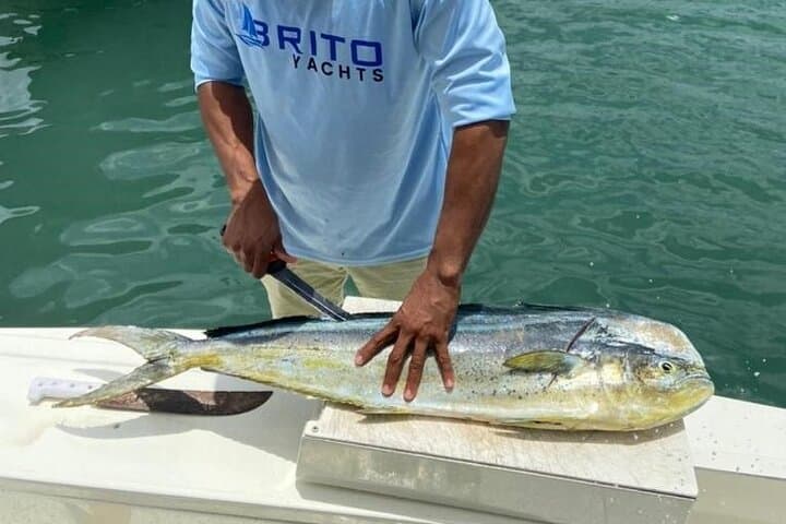 Private Yacht Fishing and Palmilla Natural Pool Swim — Saona Island Day Trip (La Romana) photo 4