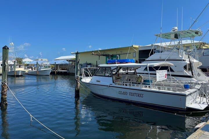 Private SCUBA Dive John Pennekamp Coral Reef — Key Largo Private Charter for Up to 8 Divers photo 5