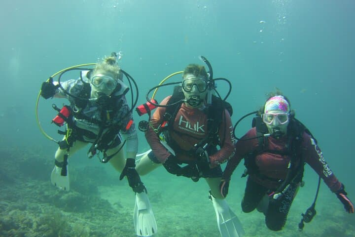 Private SCUBA Dive John Pennekamp Coral Reef — Key Largo Private Charter for Up to 8 Divers photo 6