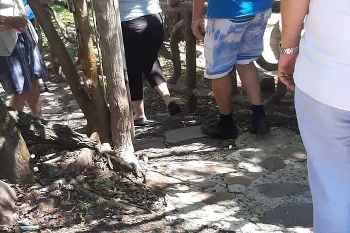 Miravalles Waterfalls & Volcano Combo: Hot Springs, Crater Hike & Llanos de Cortez photo 3