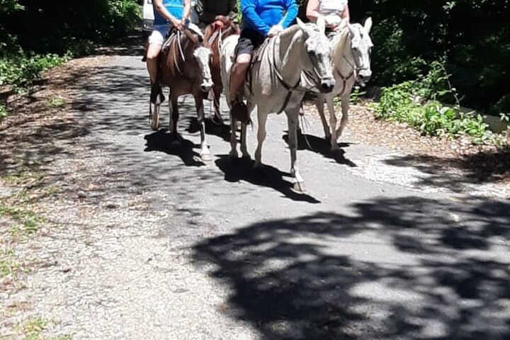 Miravalles Waterfalls & Volcano Combo: Hot Springs, Crater Hike & Llanos de Cortez photo 4