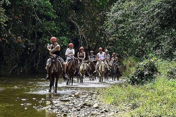 7-Day Punta Cana Adventure: Saona Island, Zipline Mega Splash & Buggy Tours photo 4