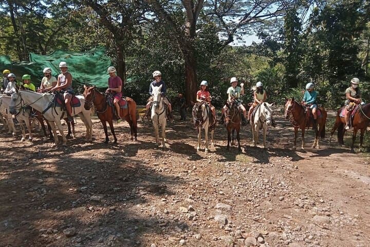 Playa Flamingo Horseback Riding: Beach & Mountain Tours in Guanacaste photo 2