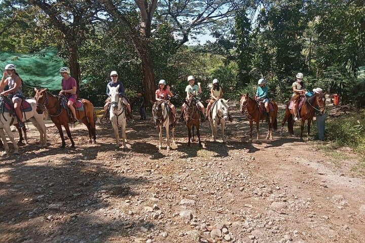 Playa Flamingo Horseback Riding: Beach & Mountain Tours in Guanacaste photo 3