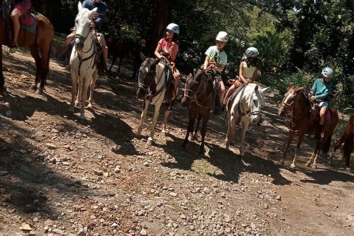 Playa Flamingo Horseback Riding: Beach & Mountain Tours in Guanacaste photo 5