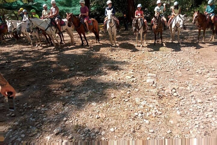 Playa Flamingo Horseback Riding: Beach & Mountain Tours in Guanacaste photo 6