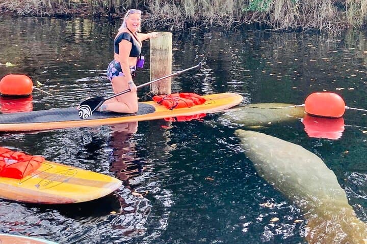 Blue Springs Manatee Paddleboard & Kayak Tour from Orlando photo 4