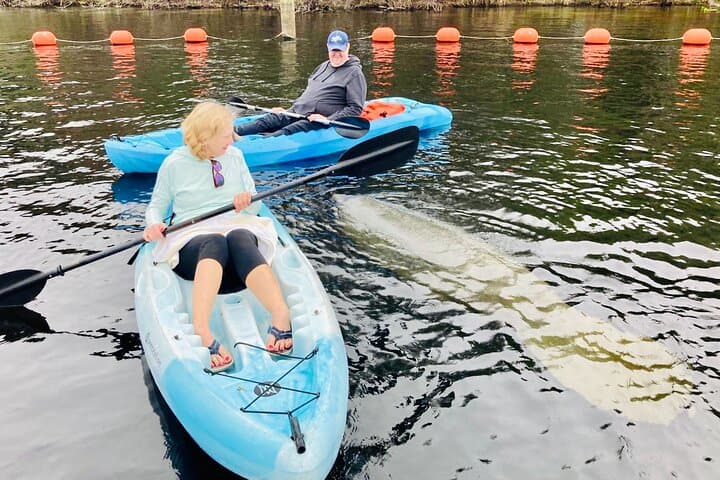 Blue Springs Manatee Paddleboard & Kayak Tour from Orlando photo 6