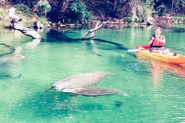Blue Springs Manatee Paddleboard & Kayak Tour from Orlando