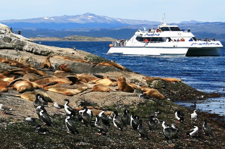 Beagle Channel Catamaran & Bridges Islands Trek from Ushuaia photo 4