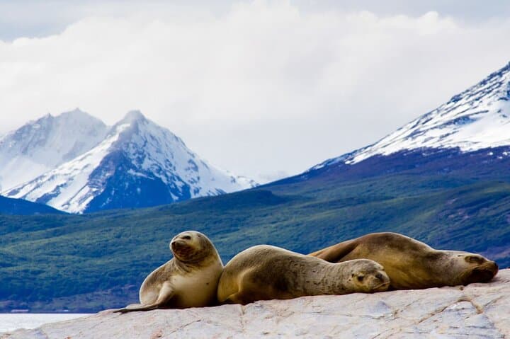 Beagle Channel Catamaran & Bridges Islands Trek from Ushuaia photo 6