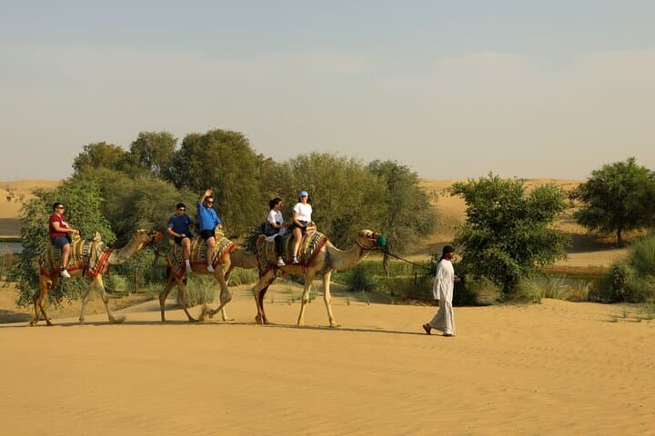 Evening Heritage Desert Safari in Al Marmoom — Vintage G‑Class, Bedouin Village & Stargazing photo 6
