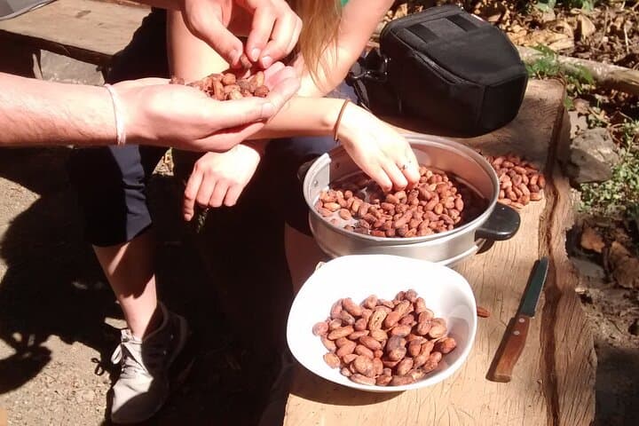 Cacao Farm Tour in the Jungle of Cusco: Full-Day Chocolate Immersion photo 5
