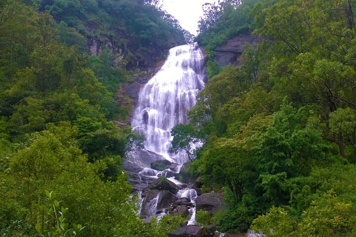 Hidden Waterfalls of the Knuckles: Day Hike from Kandy photo 4