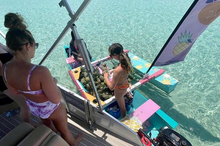 Private Crab Island Pontoon Charter with Inflatables in Destin photo 3