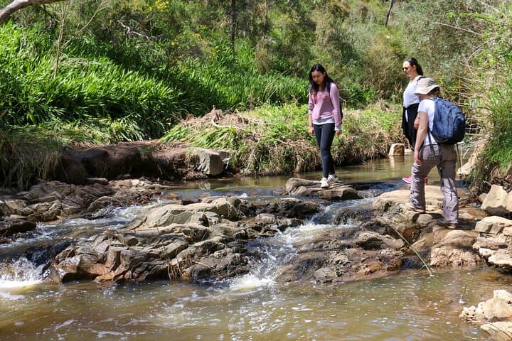 Morialta Wilderness & Wildlife Hike: Half-Day Guided Walk from Adelaide photo 6