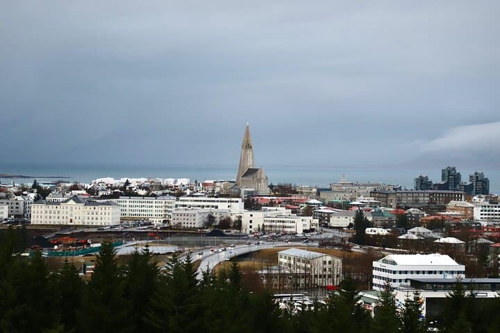 Reykjavik Private City Tour: Insider Highlights and Practical Guide photo 2